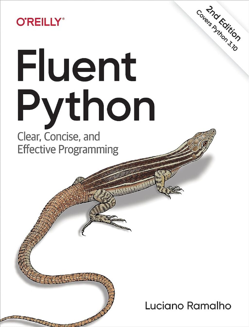Python Programming 2