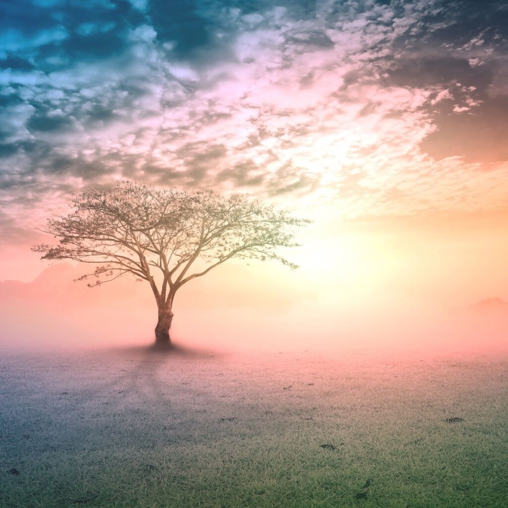 Trance Healing