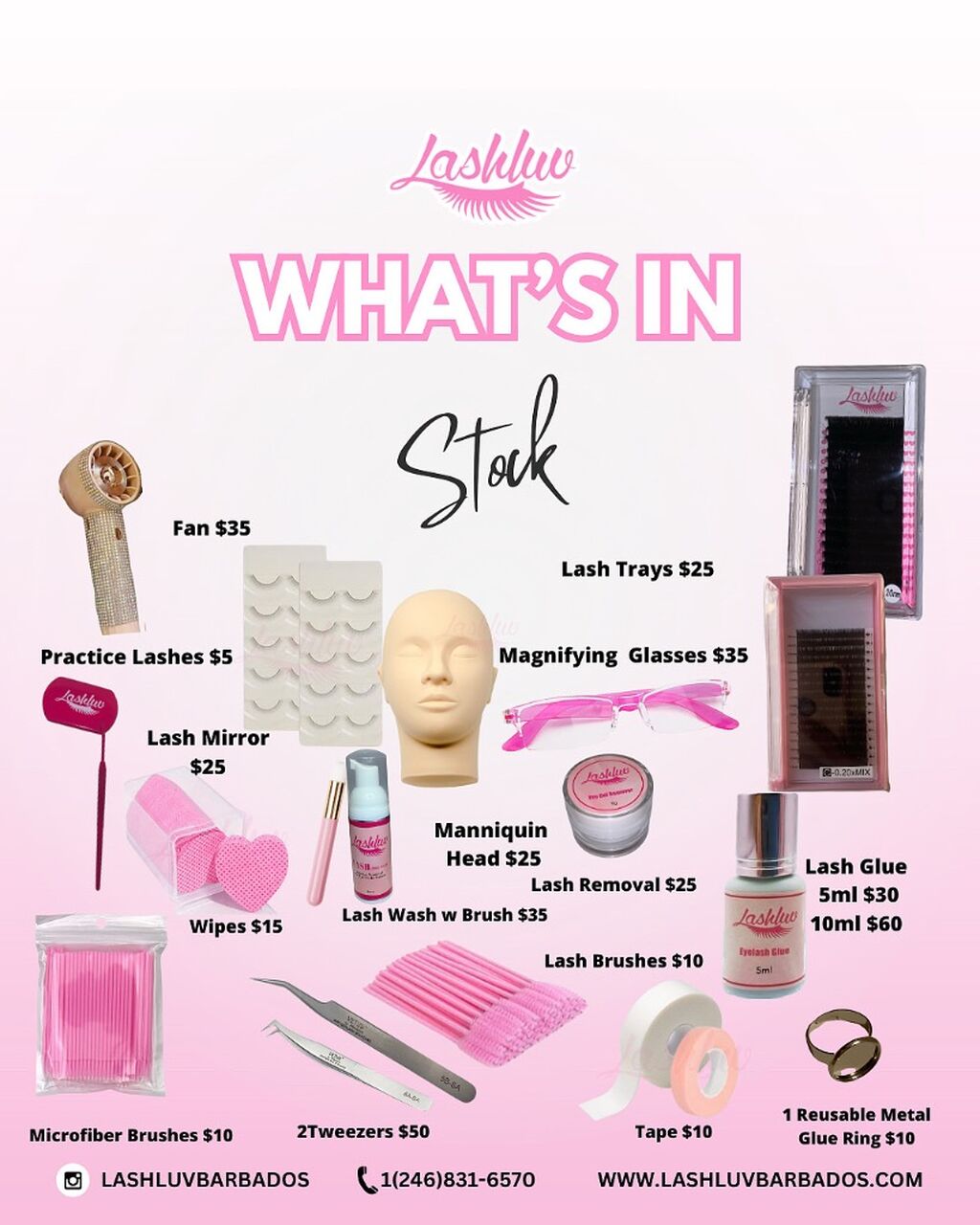 Shop Our Products 