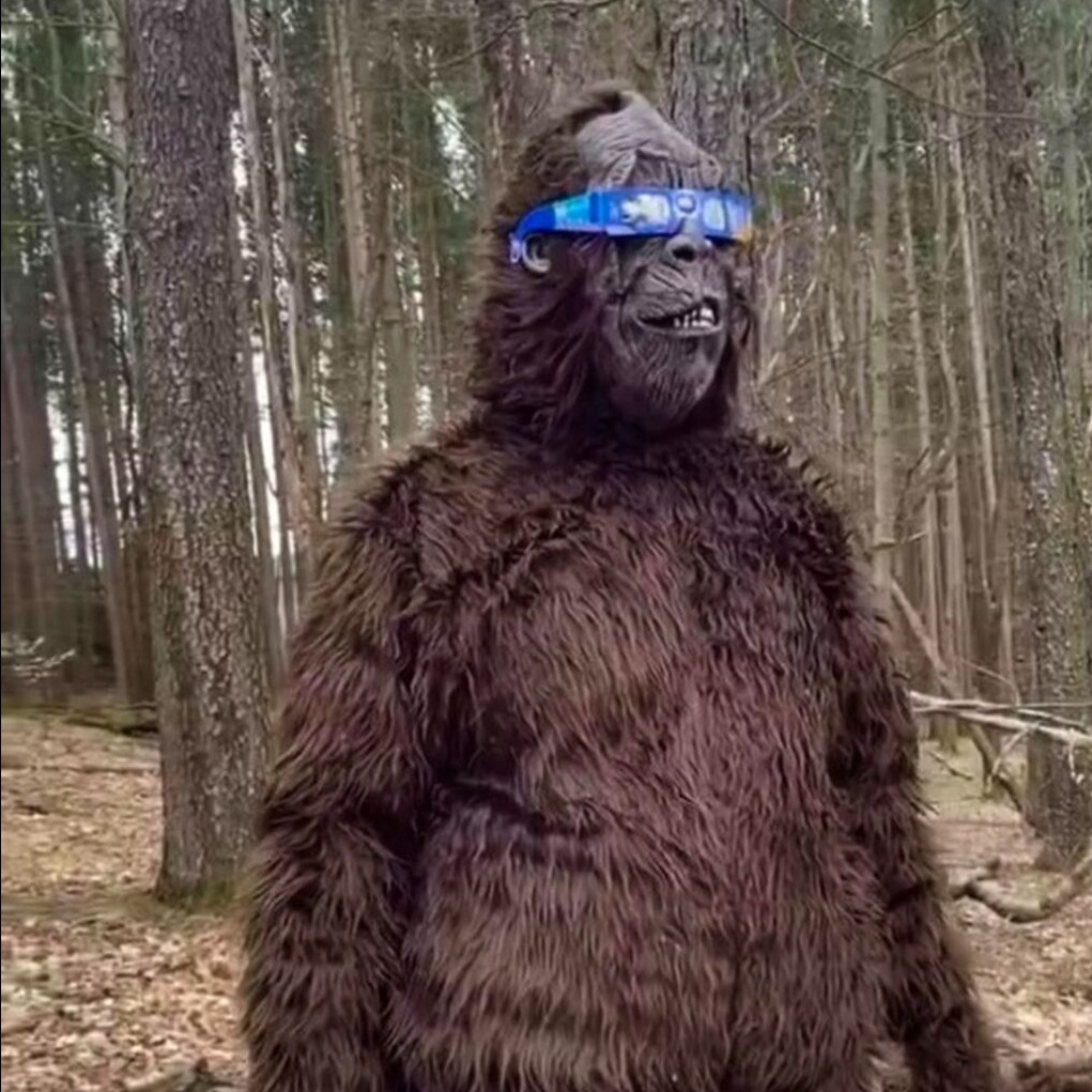 Report a Sighting