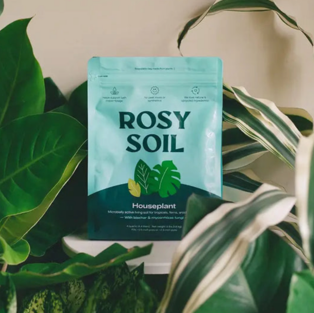 15% Off Rosy Soil