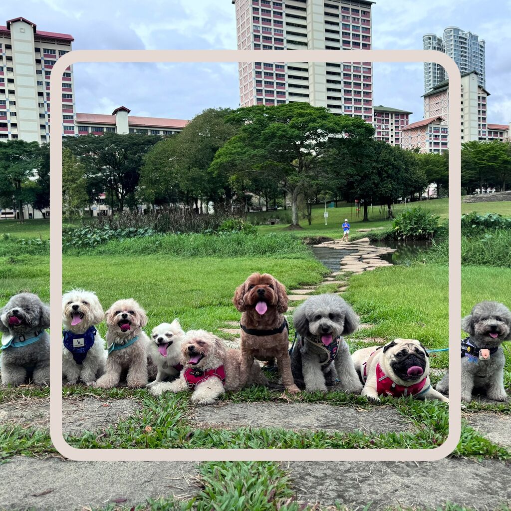 Connecting Communities from Bishan to the City
