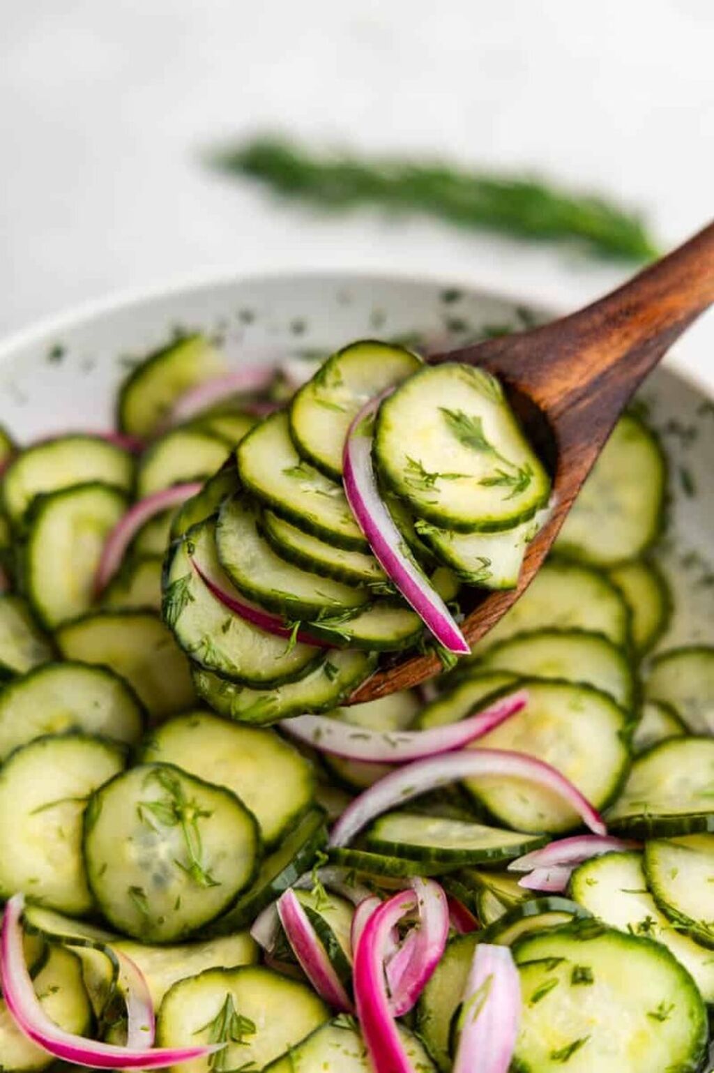 Cucumber Salad
