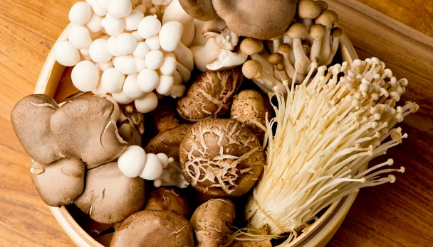 All Things Mushroom Supplements