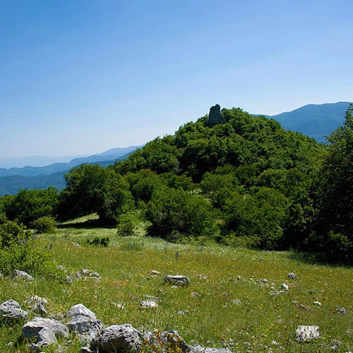 La Prugna