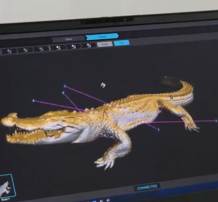3D scanning a live crocodile with peel 3D! 