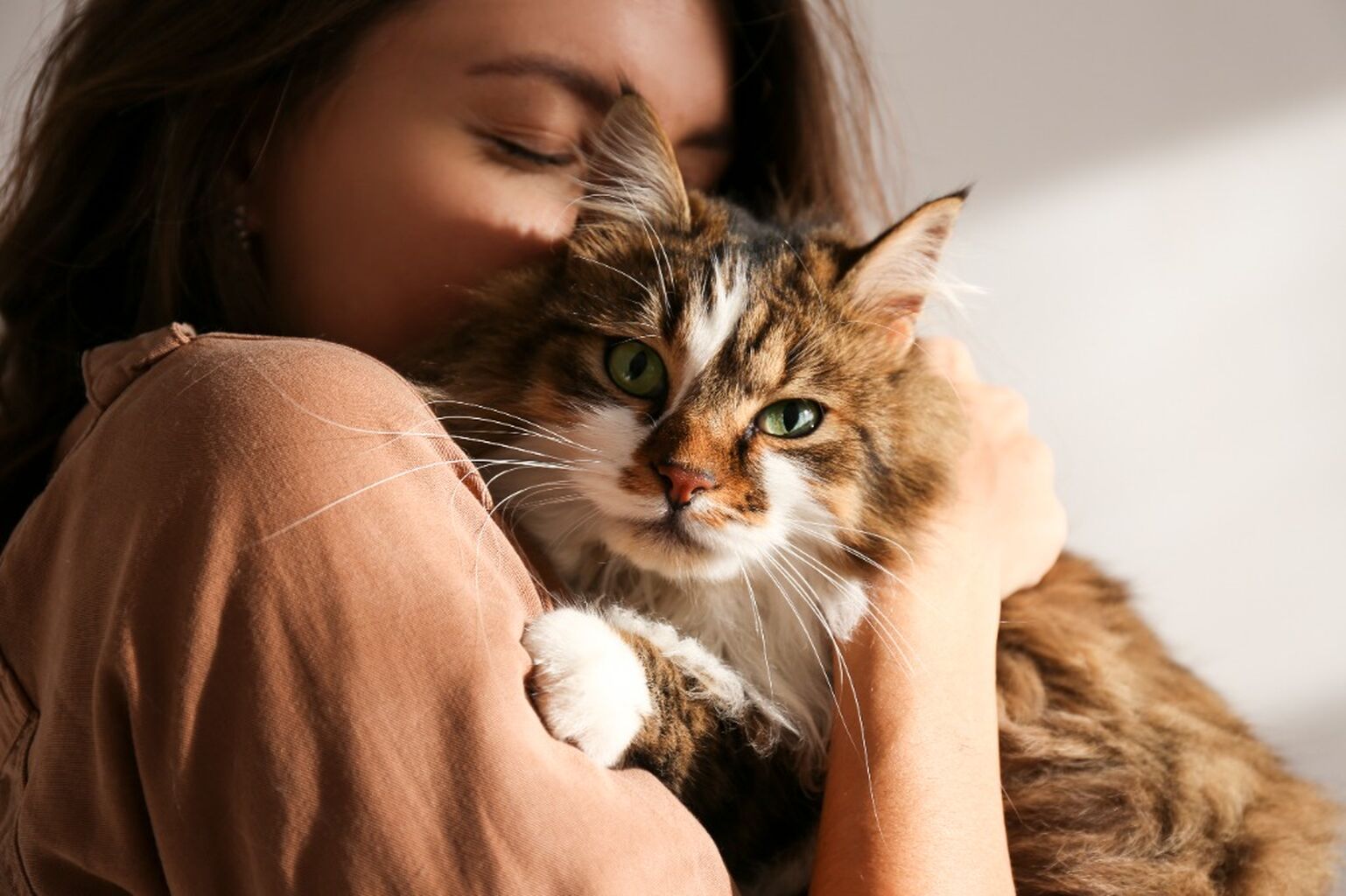 Pet Allergy Tests
