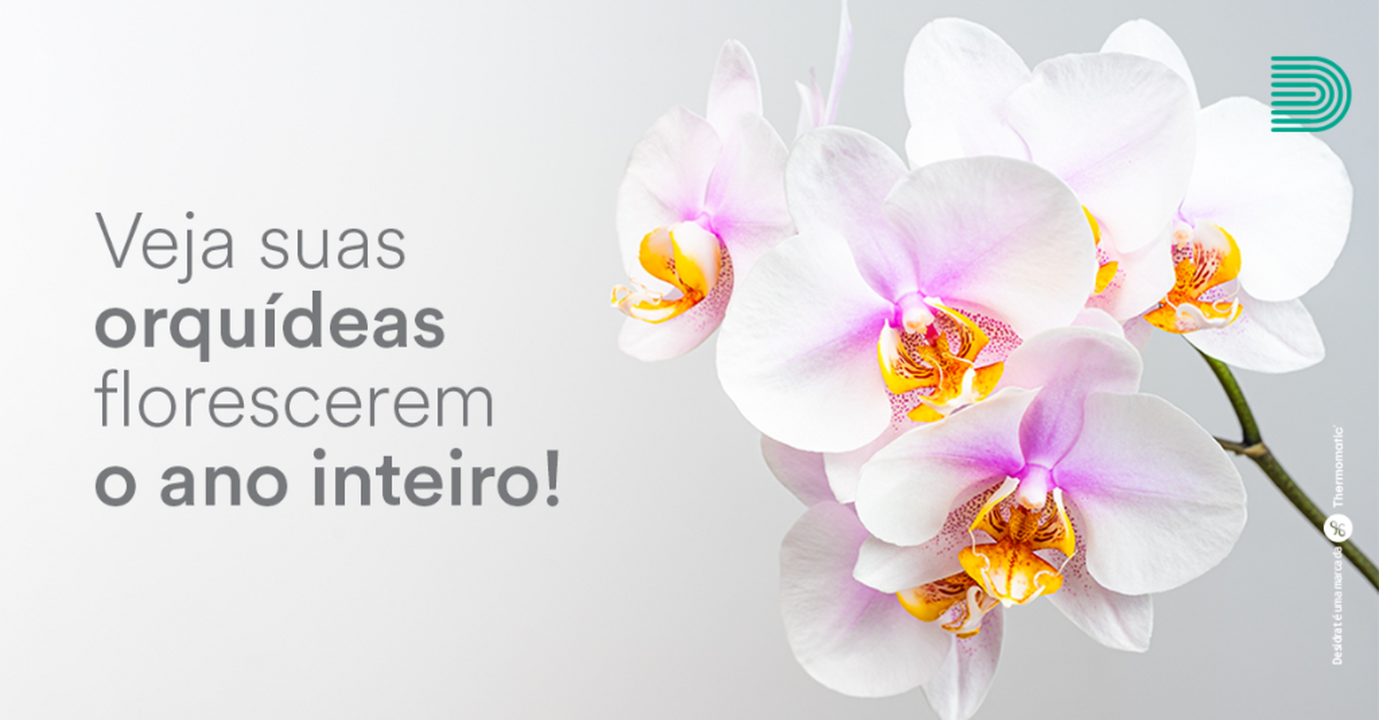 Cultivo de orqu&iacute;deas