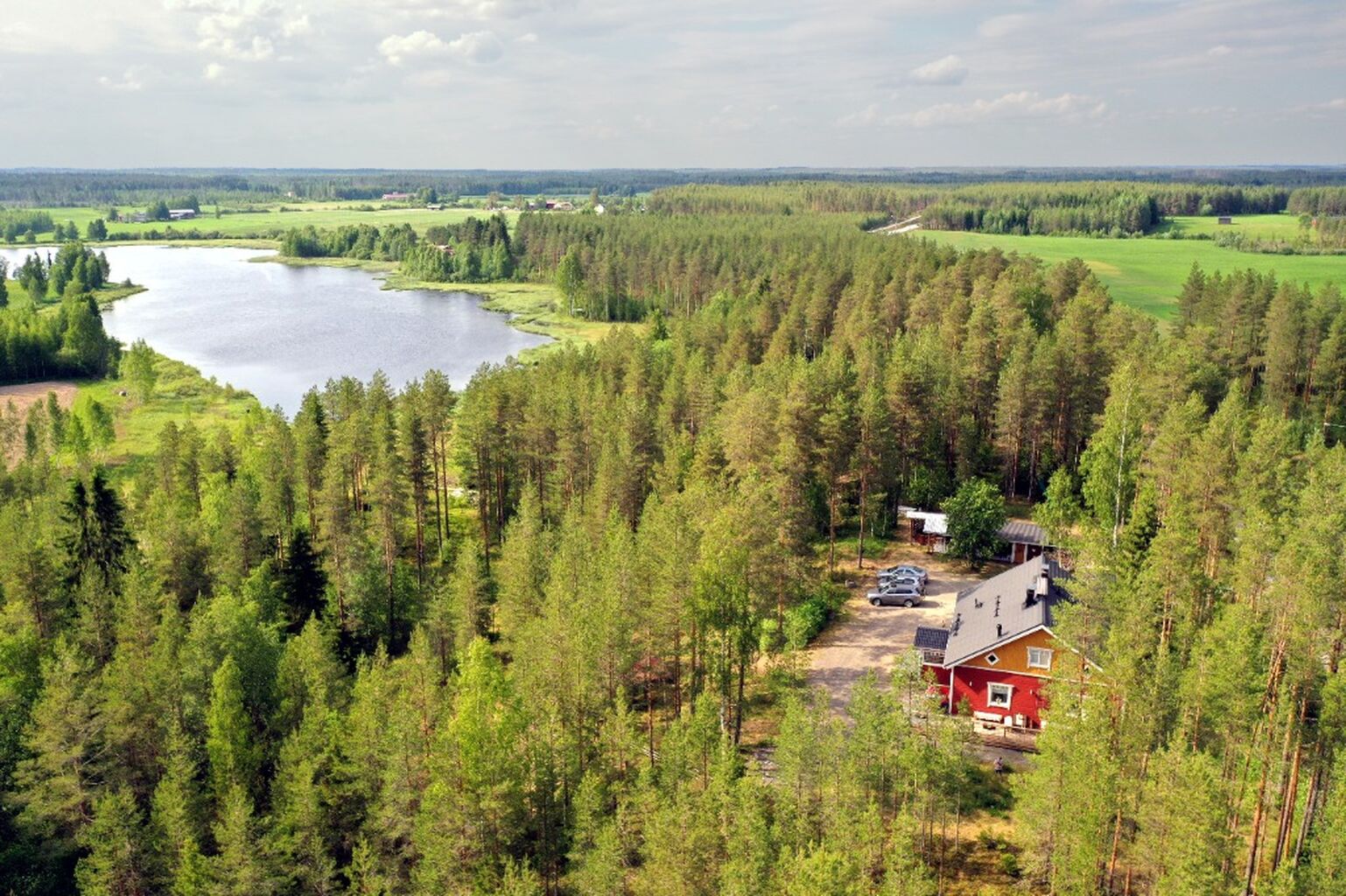 Kotisivut/Website 