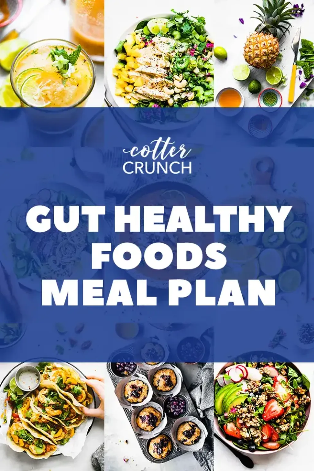 Healthy Gut Diet Plan