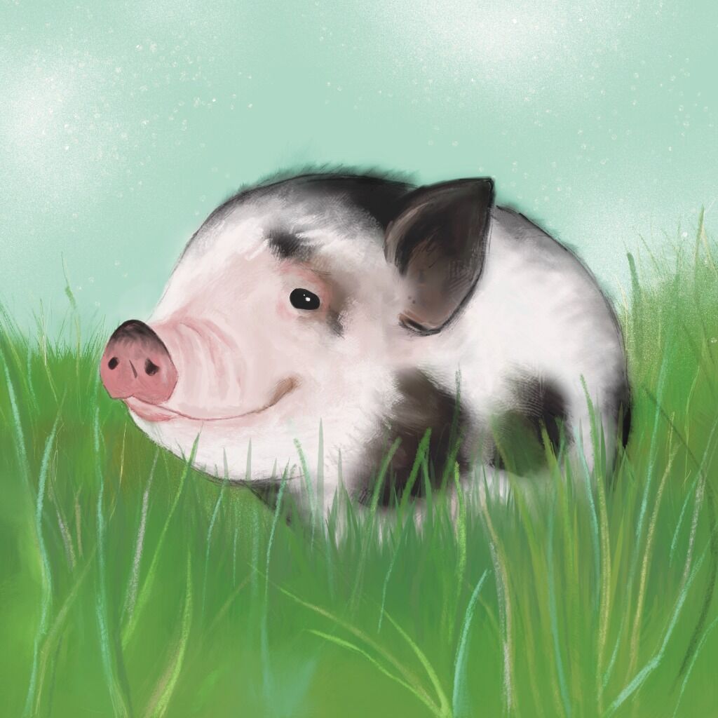 Commissions for happy Animals are open!