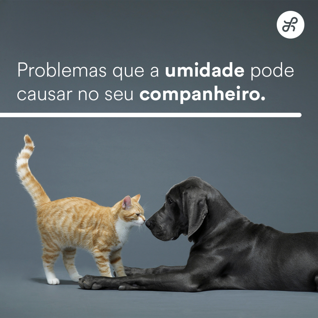 Post Desumidificador para pet
