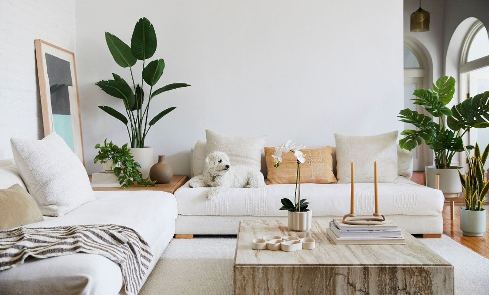 5 Tips To Improve Indoor Air Quality In Spring