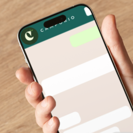 Cont&aacute;ctanos en Whatsapp 