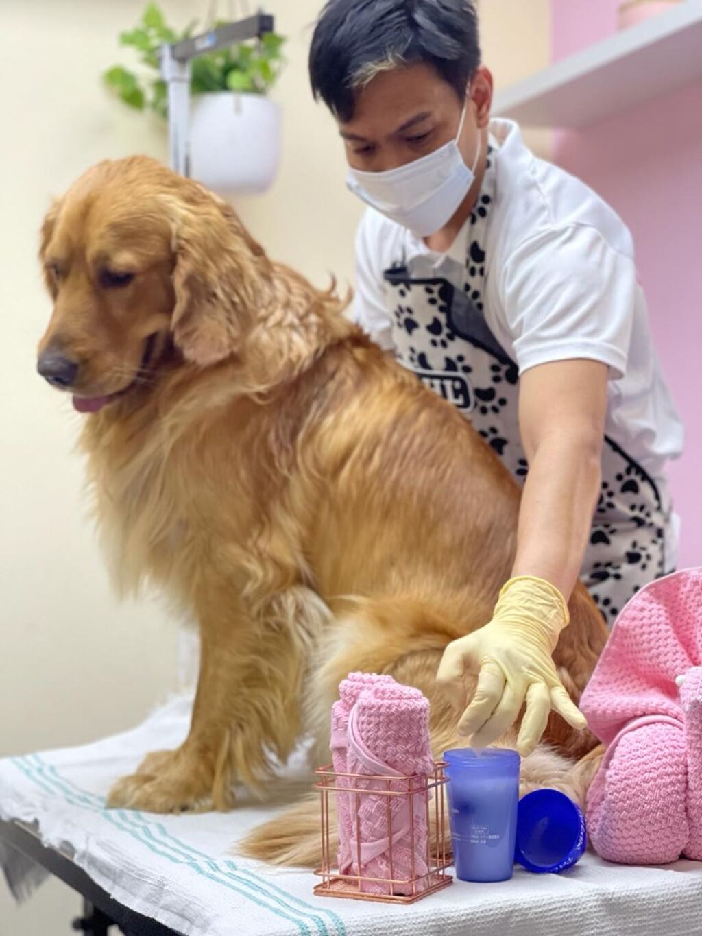 Grooming