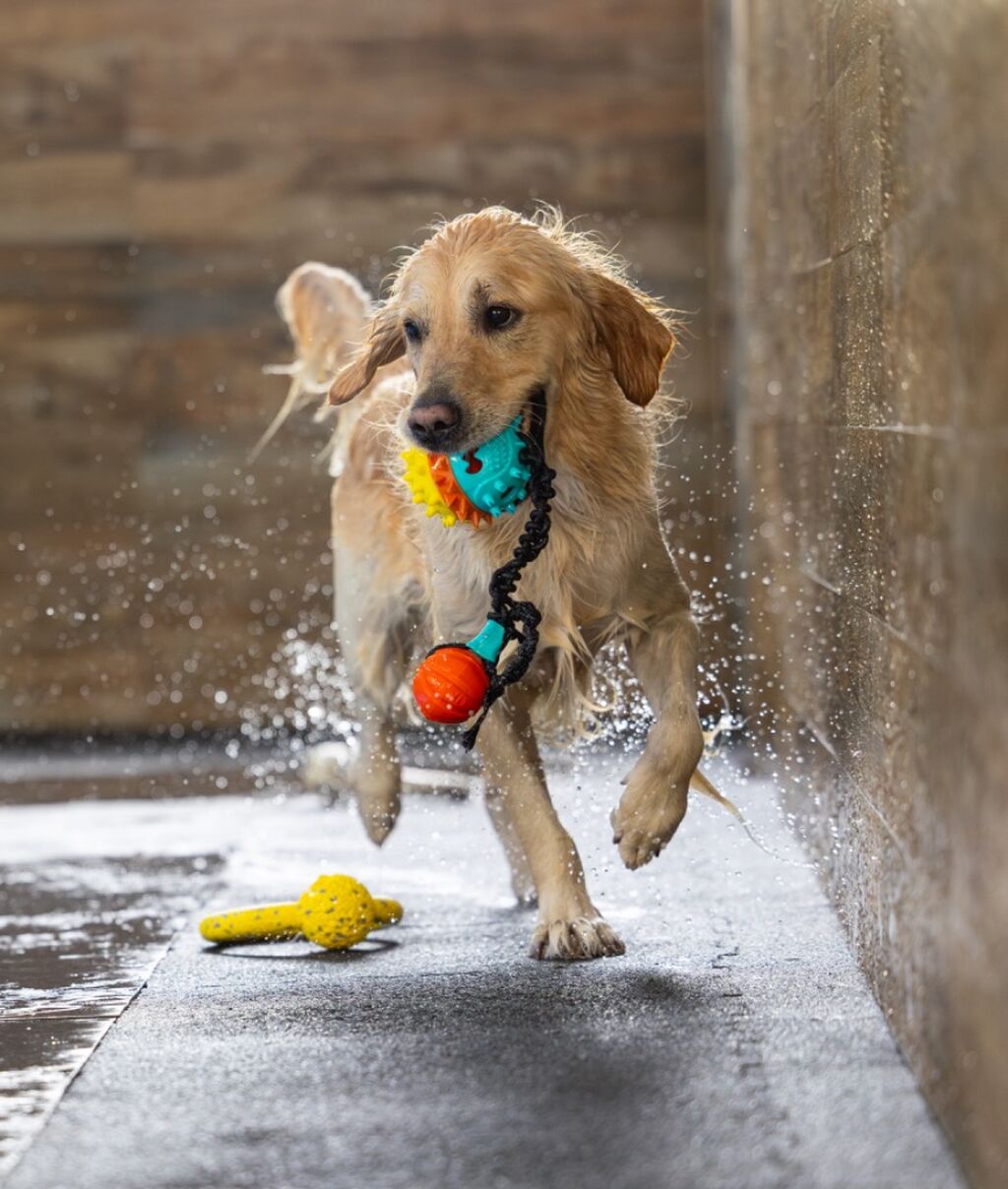 Swimming