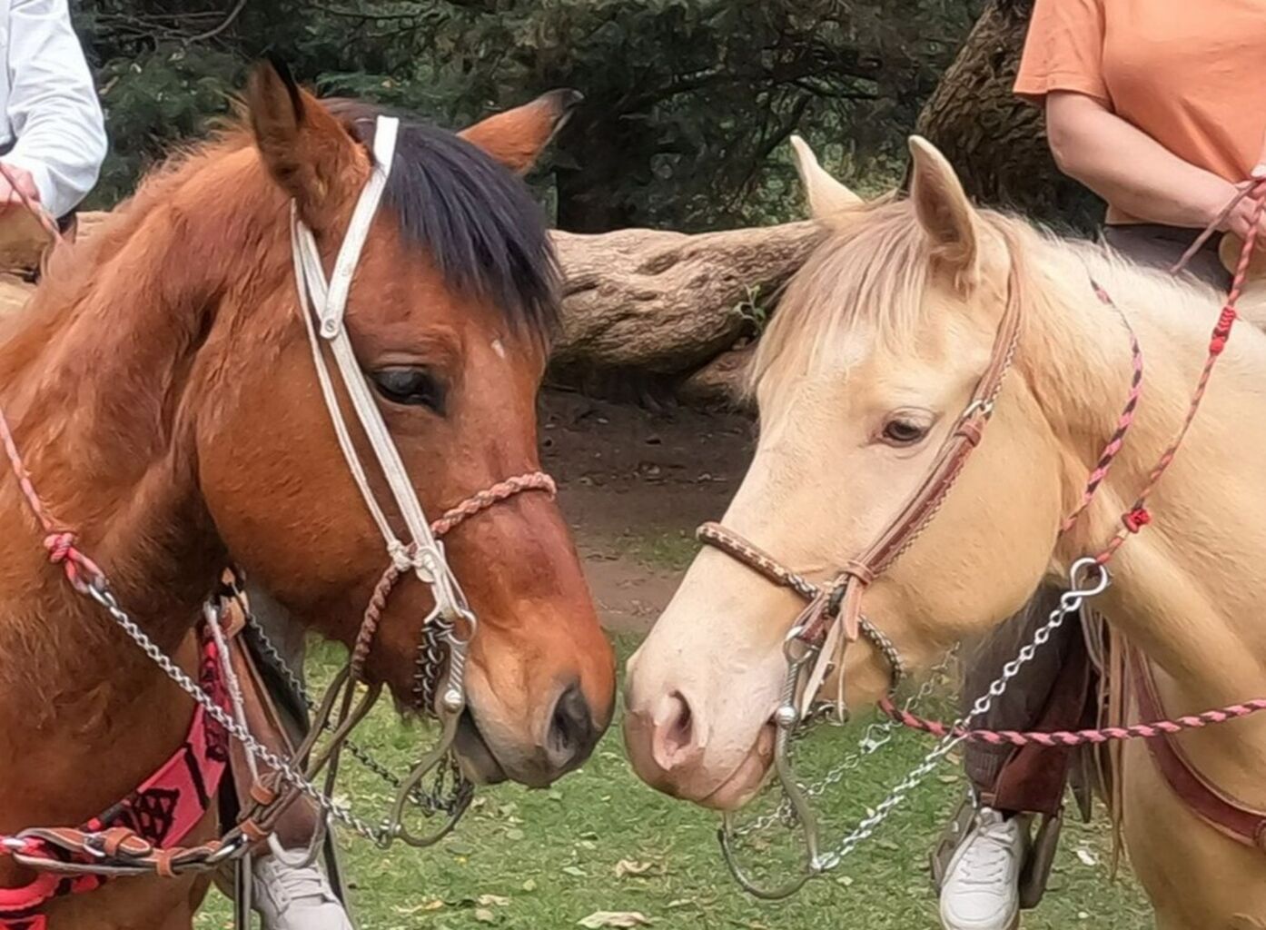 Book Horseback Riding on Expedia