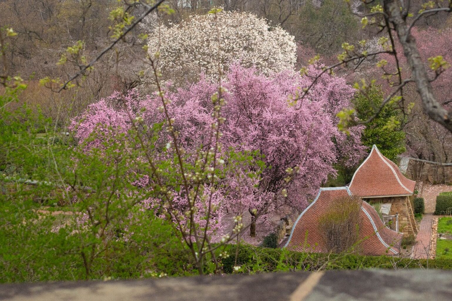 Gardens: Virtual Tour