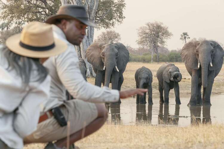 A stylish Southern African safari in Zimbabwe and Zambia