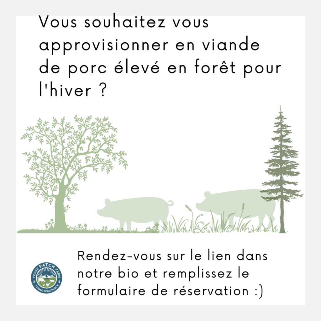 R&eacute;servation de Viande en Vrac / Bulk Meat Reservation Form