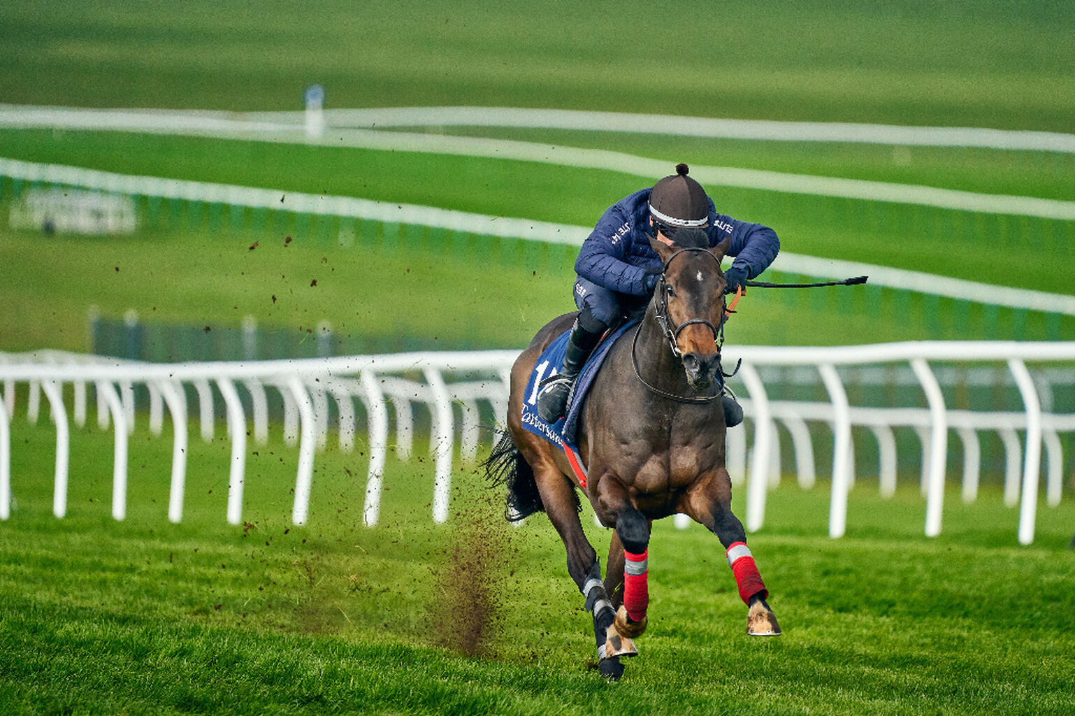 Tatts Craven Breeze up