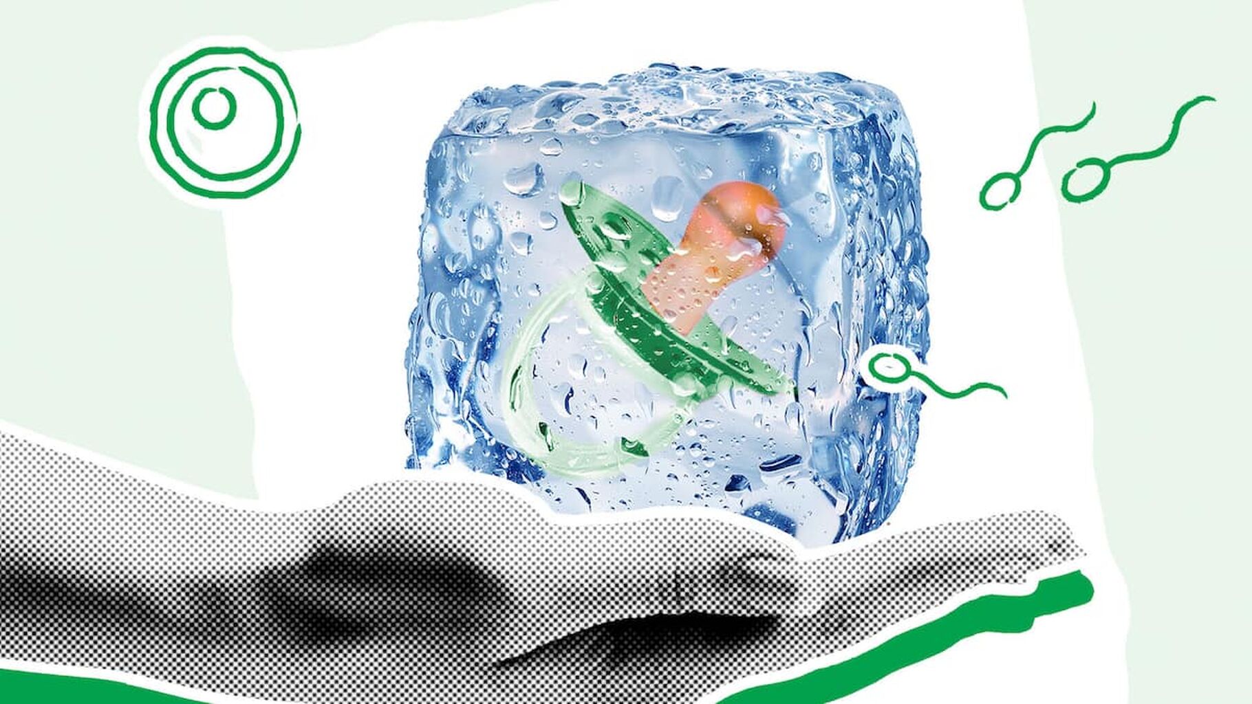 So legt man das Baby auf Eis