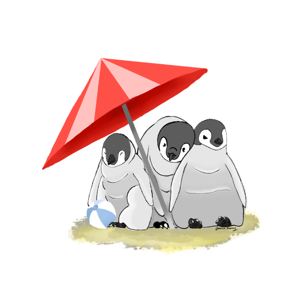 Penguins At The Beach