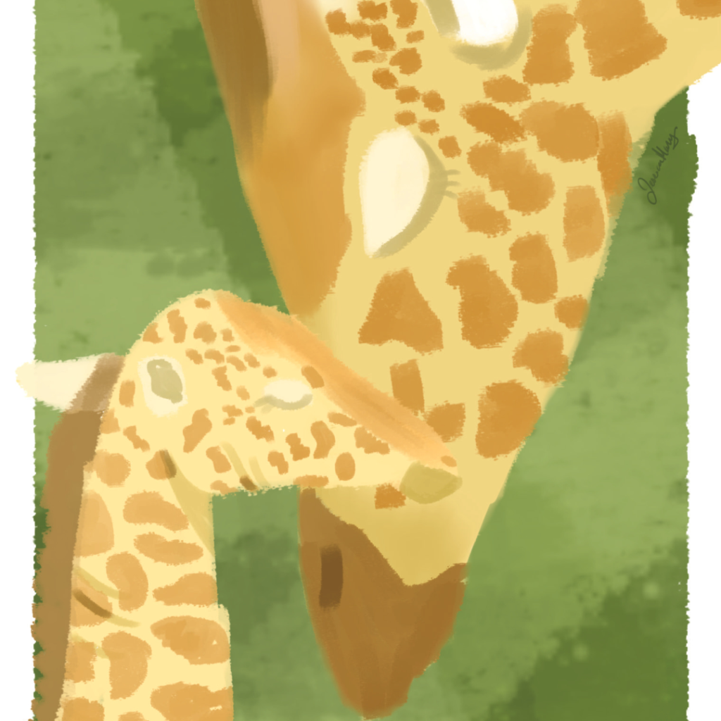 Mother's Day Giraffes