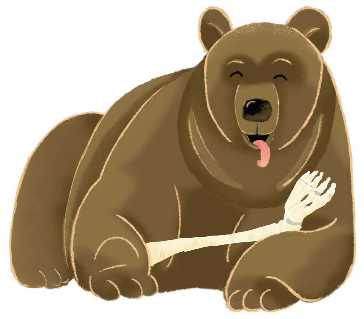 Fat Bear With A Bone