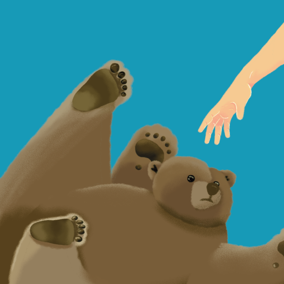 Pet The Bear!