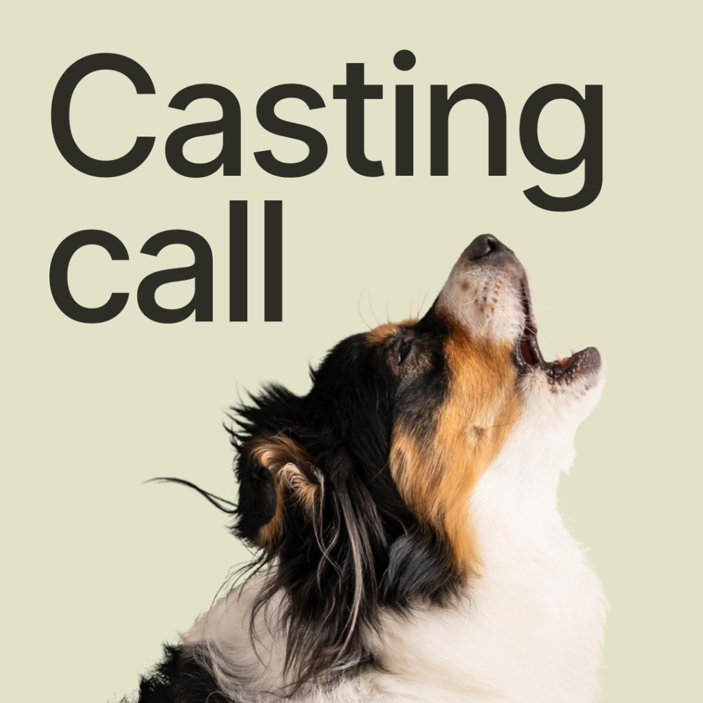 Casting call Orlando / Tampa