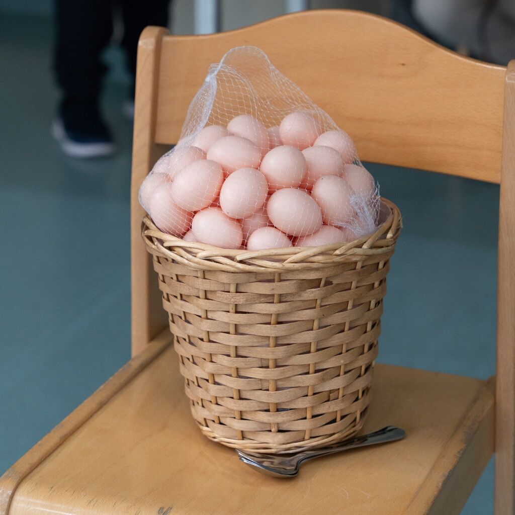 Photo Album - The Chicken Eggs Roll and Run Again