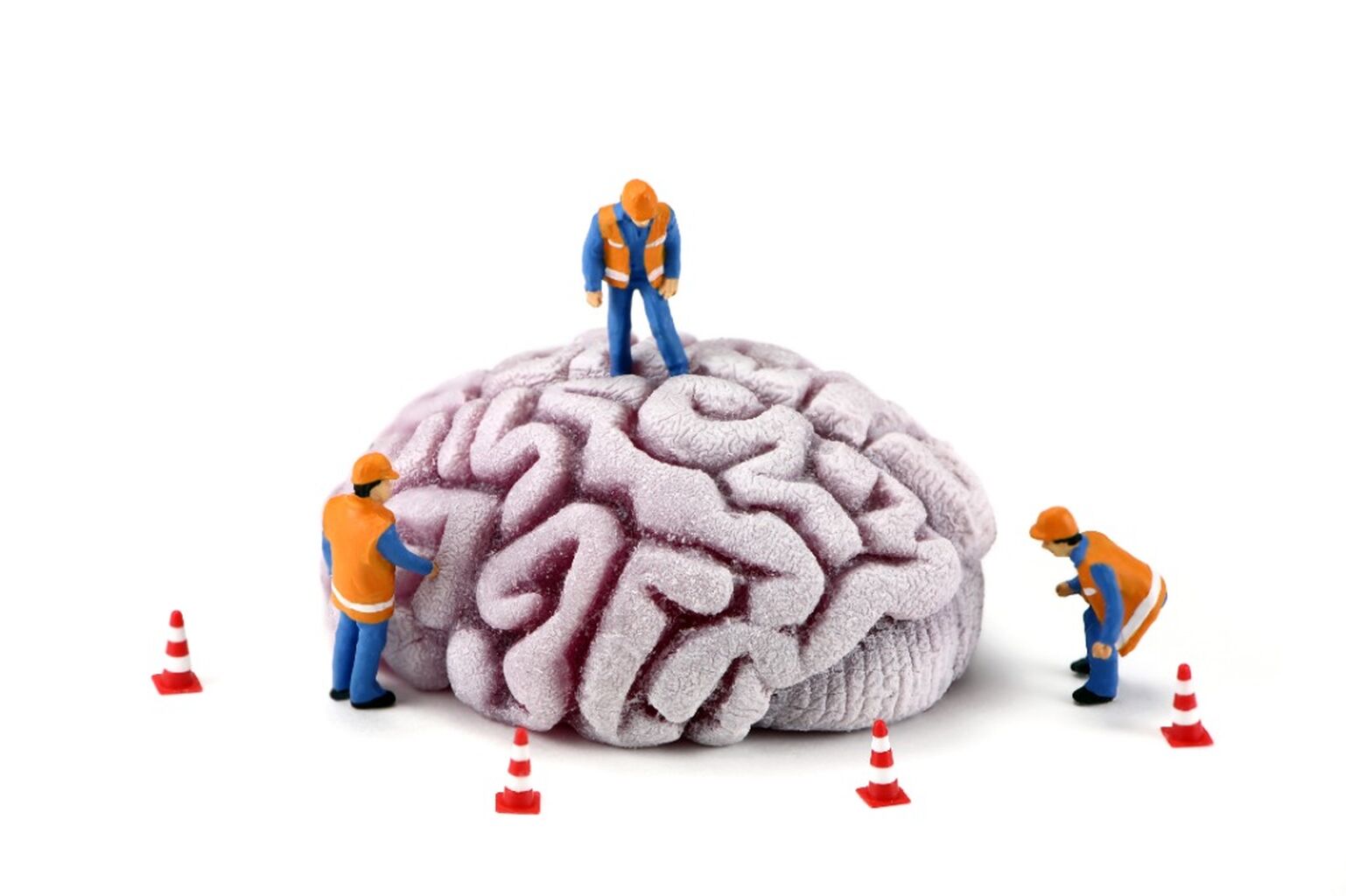 Brain Waves Synchronize when People Interact