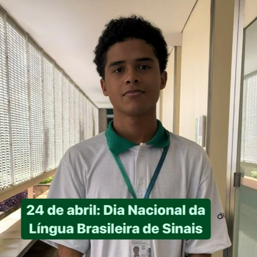 Dicion&aacute;rio de Libras - Termos pol&iacute;tico-legislativos