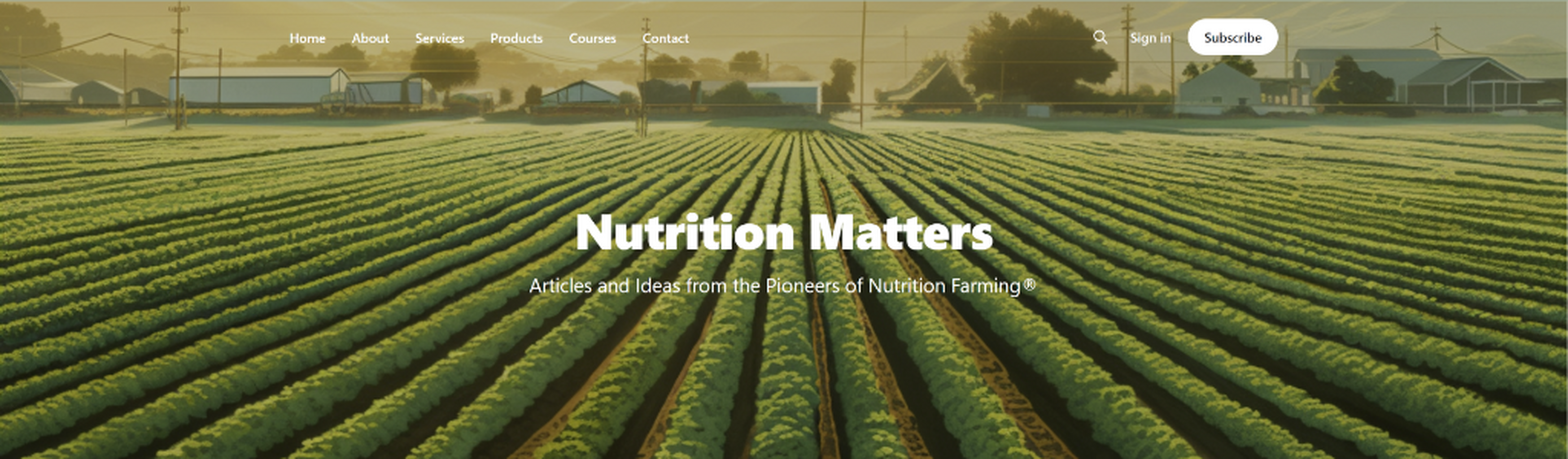 Blog: Nutrition Matters