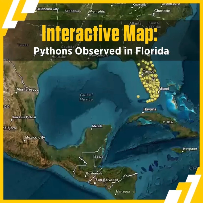 Interactive Map: Pythons Observed in Florida - Retro Report