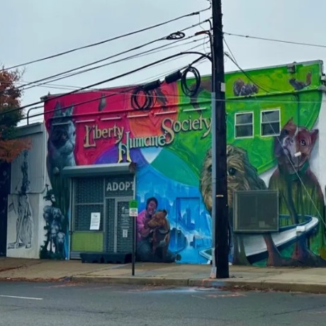 Liberty Humane Society May Look Different, But Residents Can Still Adopt