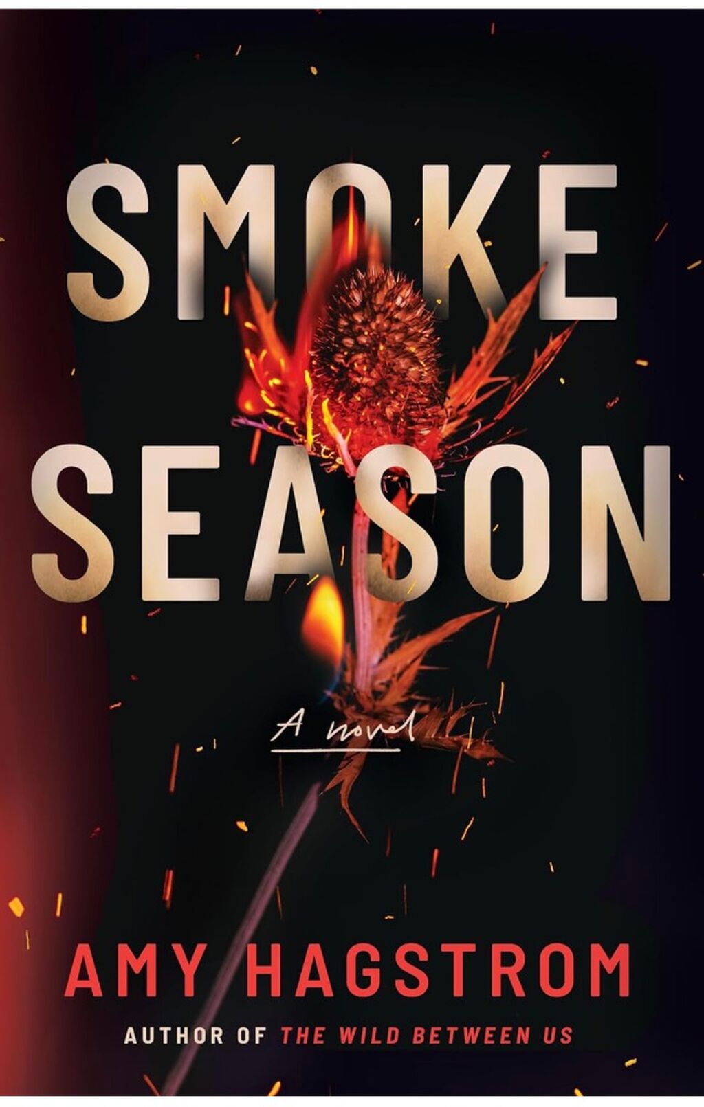 Order SMOKE SEASON by Amy Hagstrom