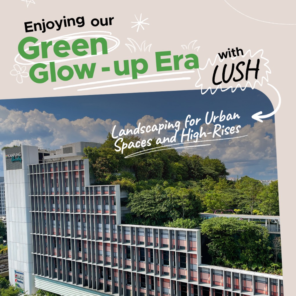 Glow-up with LUSH!