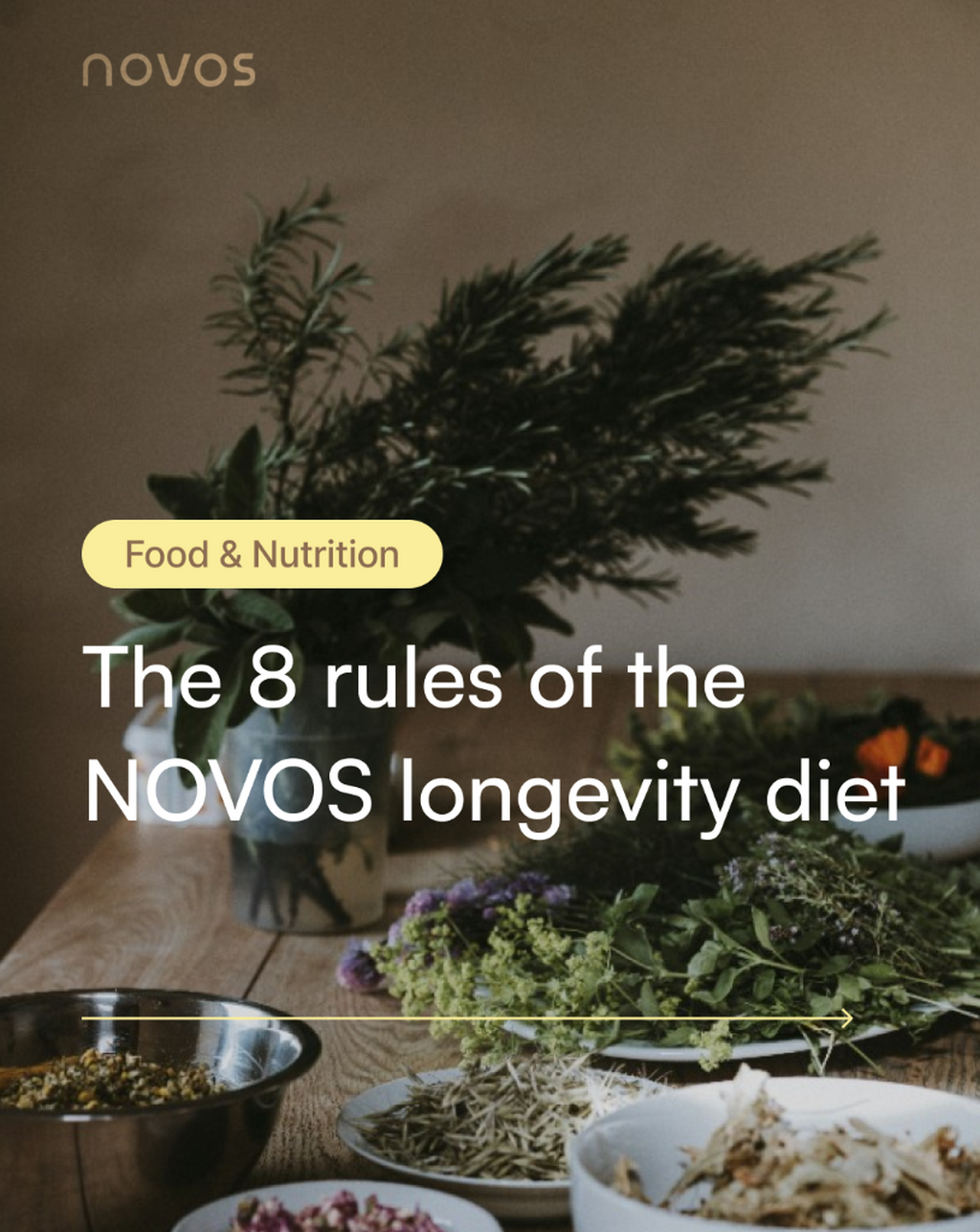 8 Rules of the Longevity Diet