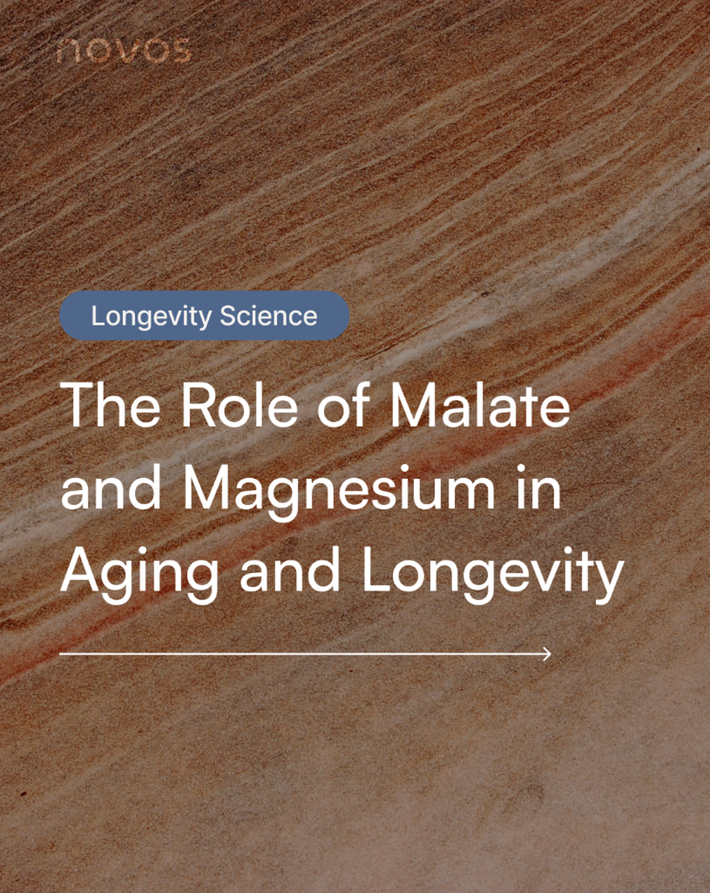 Role of malate and magnesium in longevity