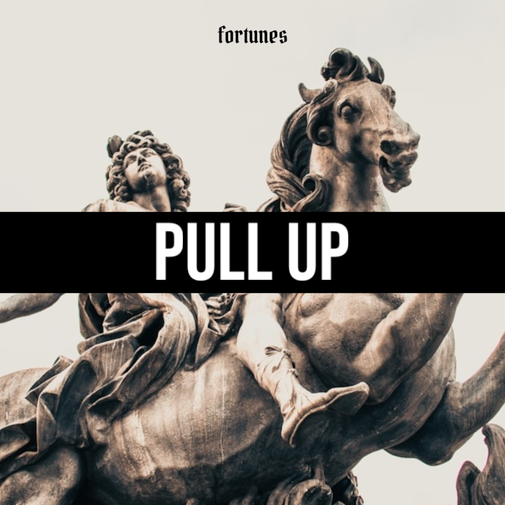 PULL UP [FRT001]