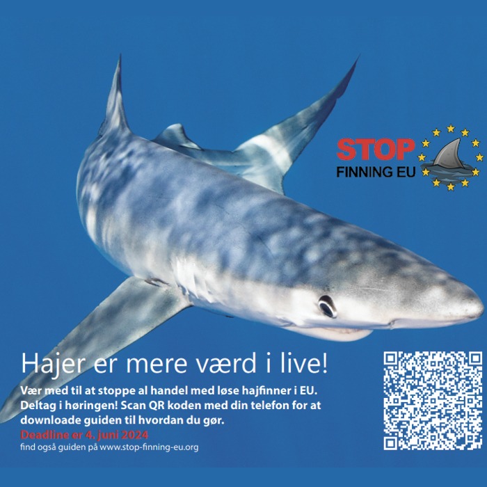 Stop finning 