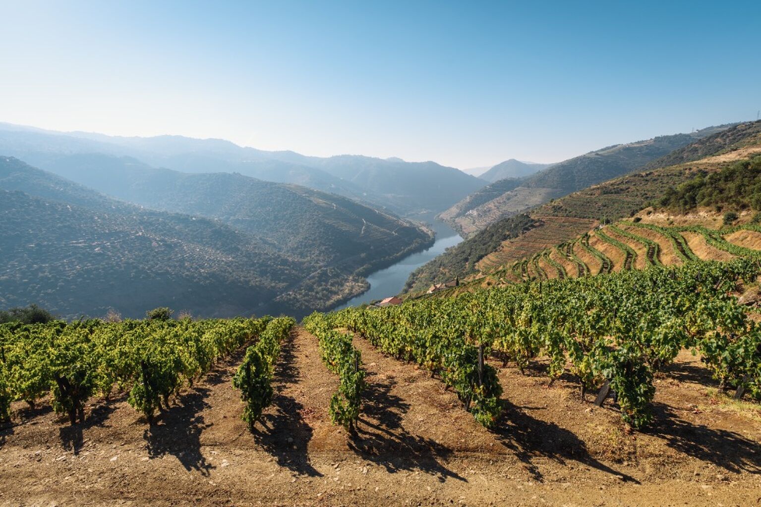 A Quick Guide to Portugal's Wine Regions