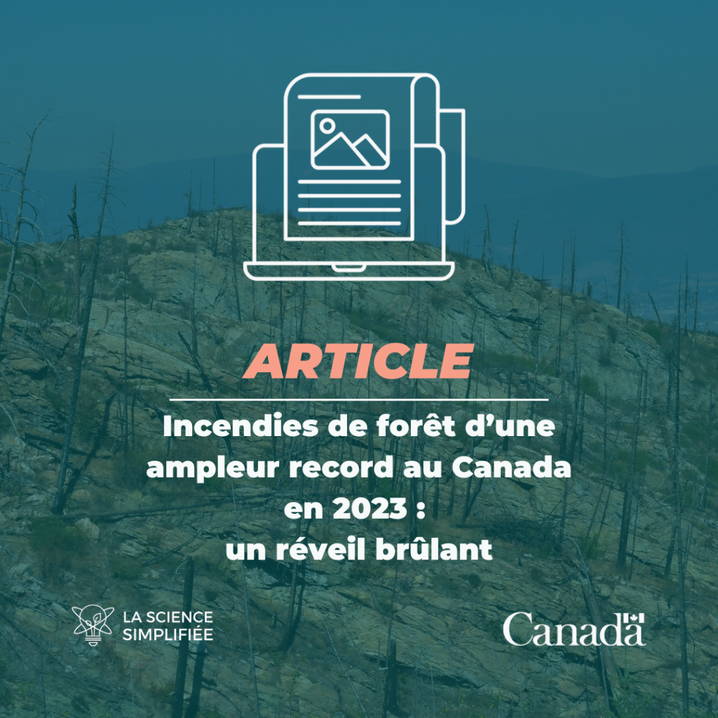 Incendies de for&ecirc;t d&rsquo;une ampleur record au Canada en 2023 : un r&eacute;veil br&ucirc;lant