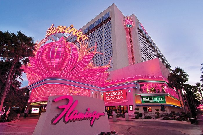 🦩 Flamingo Hotel 🦩