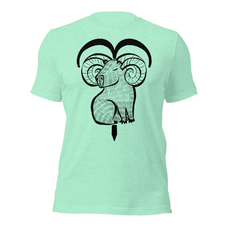 Capybara Zodiac Accessories