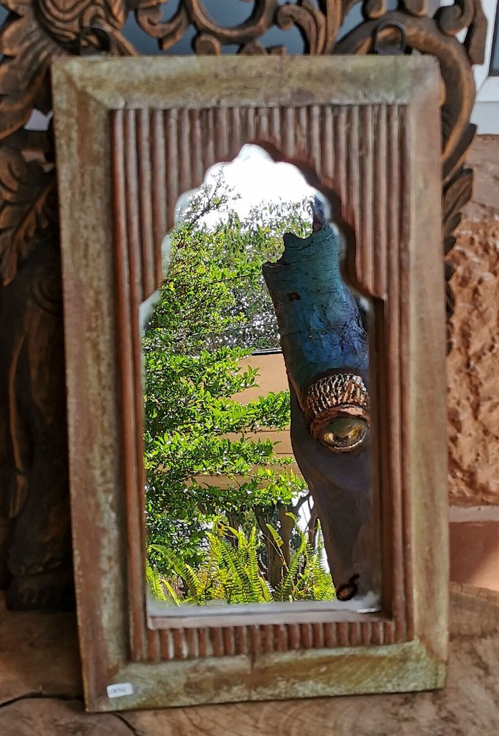 Curiosities From India