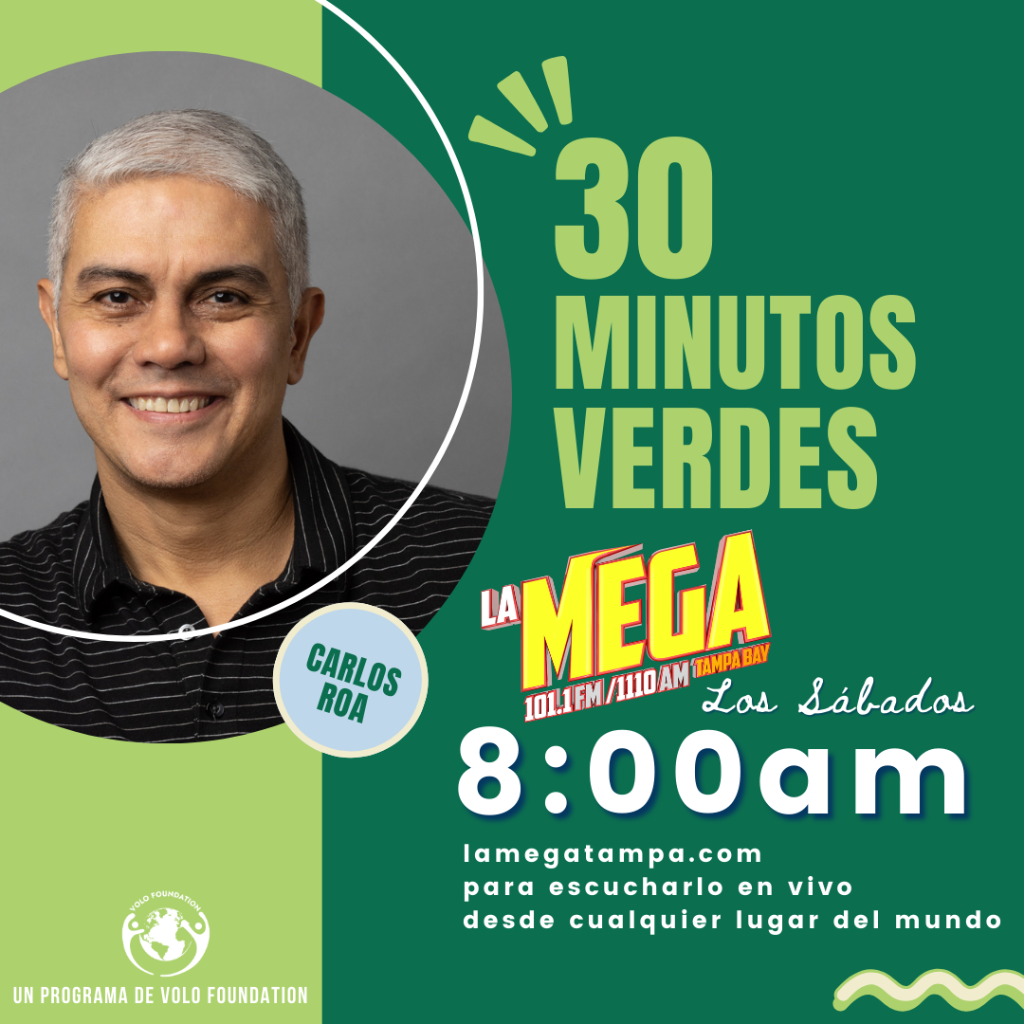 30 Minutos Verdes - La Mega Tampa Bay