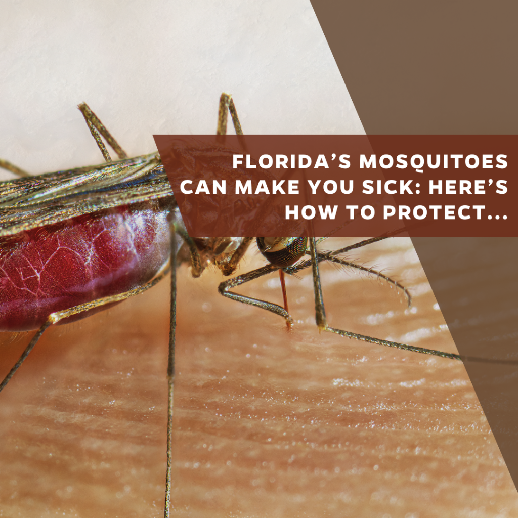 Florida&rsquo;s mosquitoes can make you sick: Here&rsquo;s how to protect yourself
